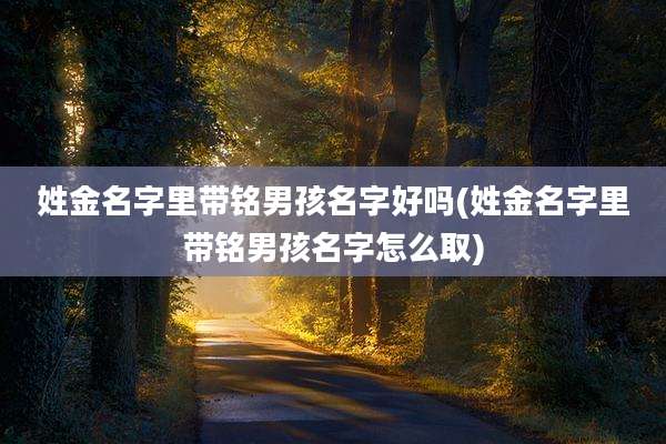 姓金名字里带铭男孩名字好吗(姓金名字里带铭男孩名字怎么取)