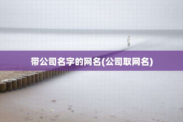 带公司名字的网名(公司取网名)
