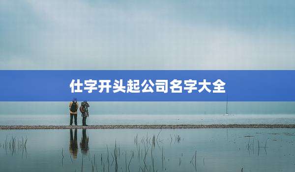 仕字开头起公司名字大全