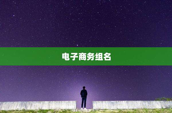 电子商务组名