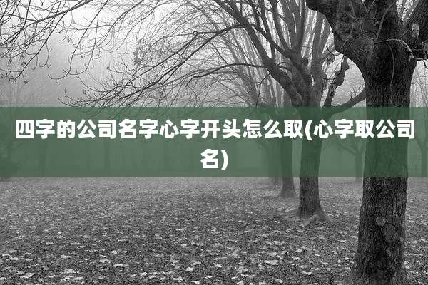 四字的公司名字心字开头怎么取(心字取公司名)