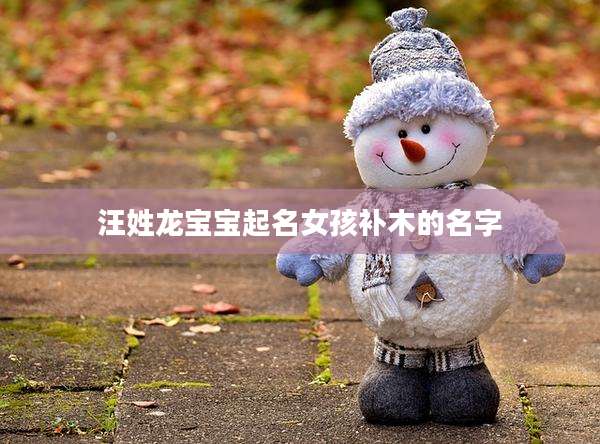 汪姓龙宝宝起名女孩补木的名字