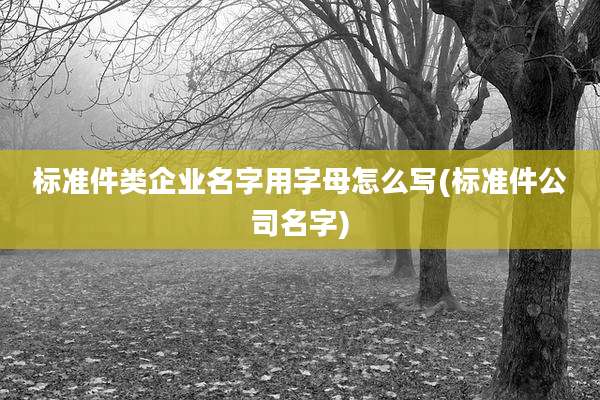 标准件类企业名字用字母怎么写(标准件公司名字)