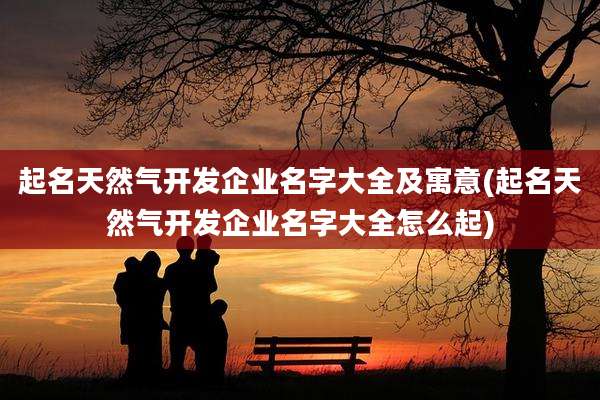 起名天然气开发企业名字大全及寓意(起名天然气开发企业名字大全怎么起)