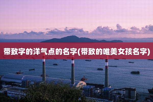 带致字的洋气点的名字(带致的唯美女孩名字)