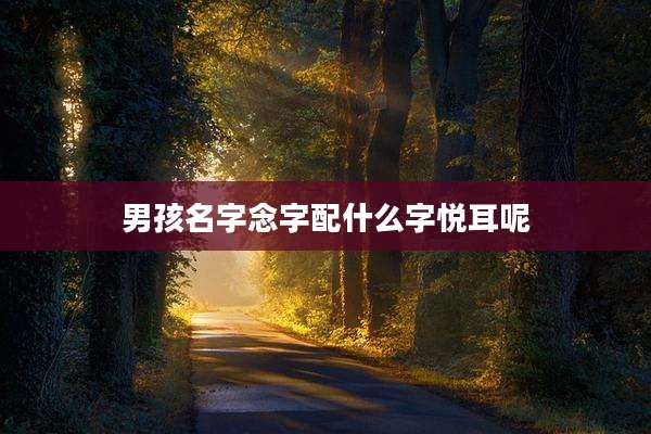 男孩名字念字配什么字悦耳呢