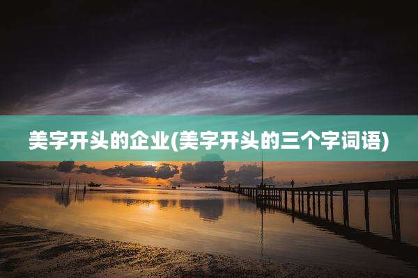 美字开头的企业(美字开头的三个字词语)