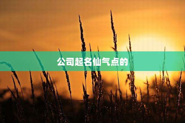 公司起名仙气点的