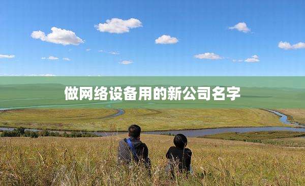 做网络设备用的新公司名字
