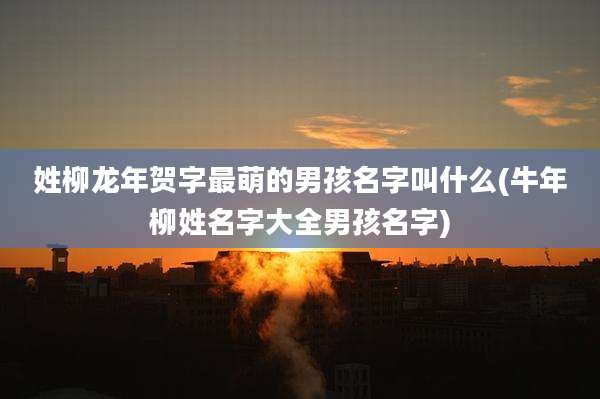 姓柳龙年贺字最萌的男孩名字叫什么(牛年柳姓名字大全男孩名字)