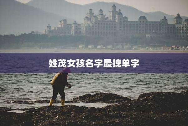 姓茂女孩名字最拽单字