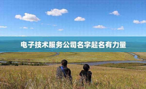 电子技术服务公司名字起名有力量