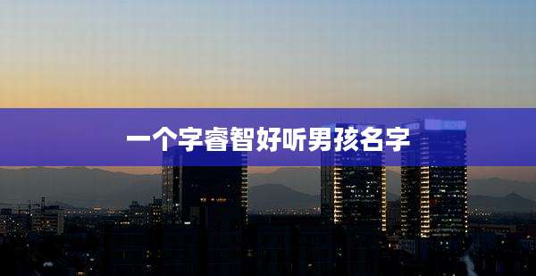 一个字睿智好听男孩名字