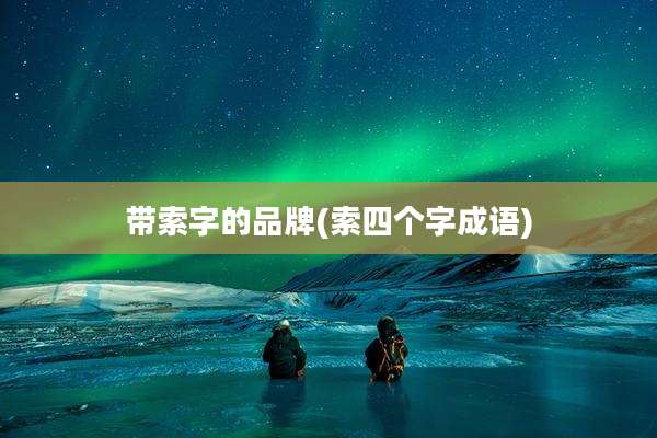 带索字的品牌(索四个字成语)