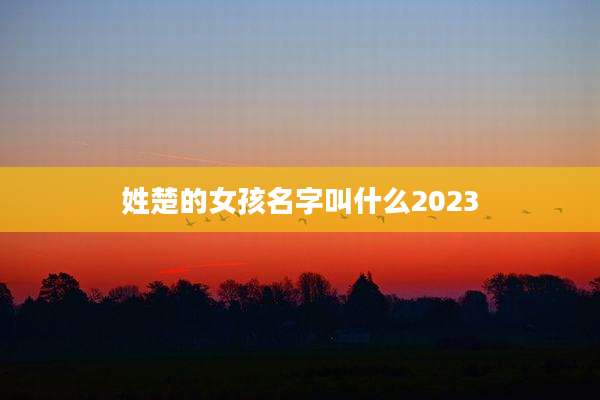 姓楚的女孩名字叫什么2023
