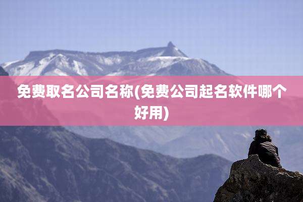 免费取名公司名称(免费公司起名软件哪个好用)