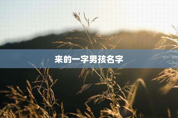 来的一字男孩名字