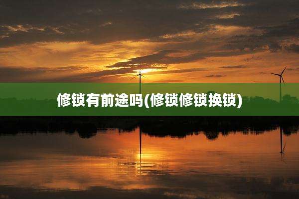 修锁有前途吗(修锁修锁换锁)