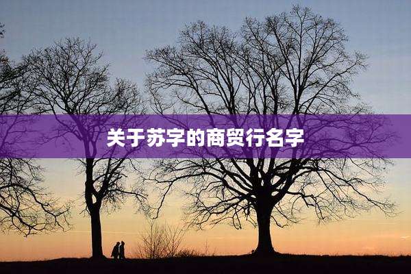 关于苏字的商贸行名字