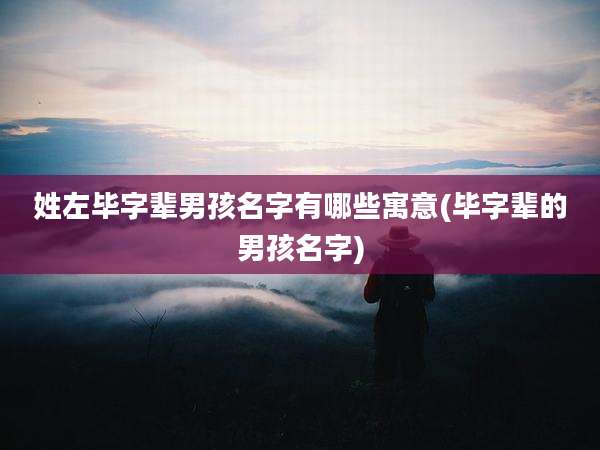 姓左毕字辈男孩名字有哪些寓意(毕字辈的男孩名字)