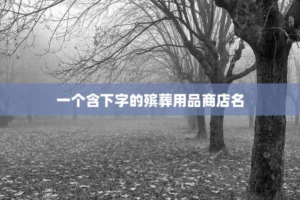 一个含下字的殡葬用品商店名