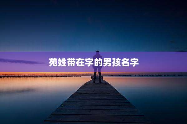 苑姓带在字的男孩名字