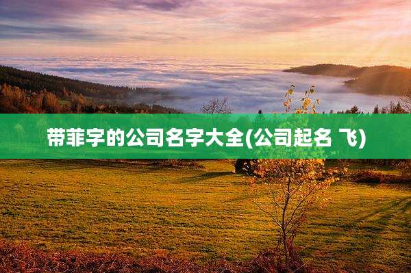 带菲字的公司名字大全(公司起名 飞)