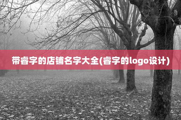 带睿字的店铺名字大全(睿字的logo设计)