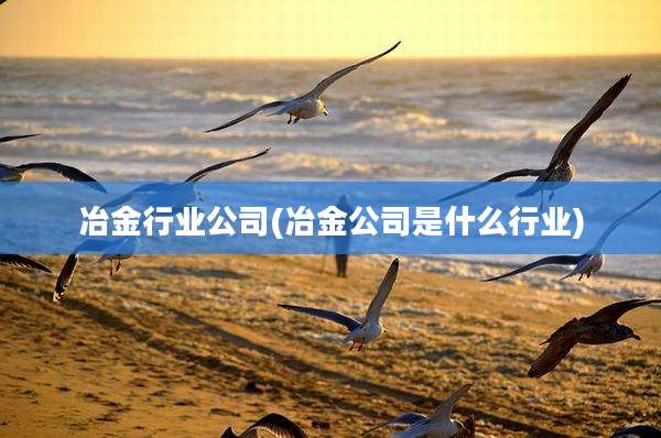 冶金行业公司(冶金公司是什么行业)