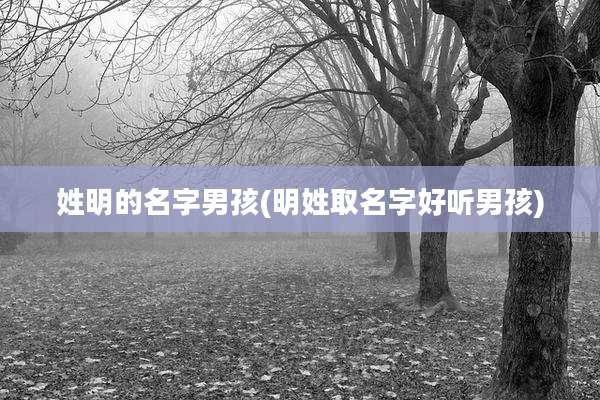 姓明的名字男孩(明姓取名字好听男孩)