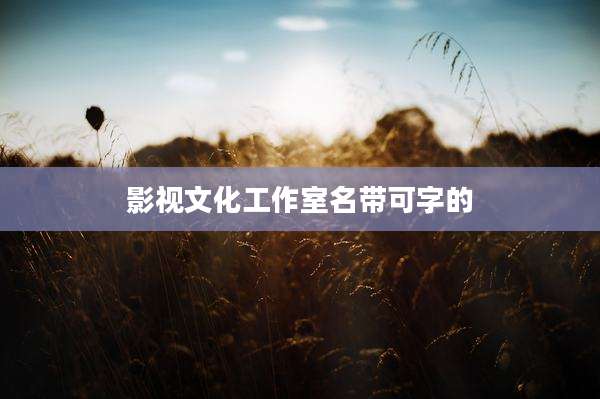 影视文化工作室名带可字的