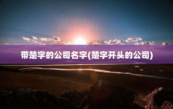 带楚字的公司名字(楚字开头的公司)