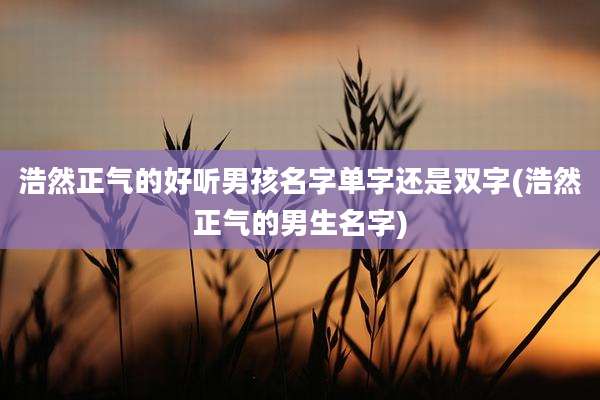 浩然正气的好听男孩名字单字还是双字(浩然正气的男生名字)