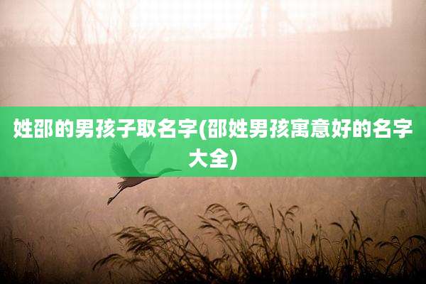 姓邵的男孩子取名字(邵姓男孩寓意好的名字大全)