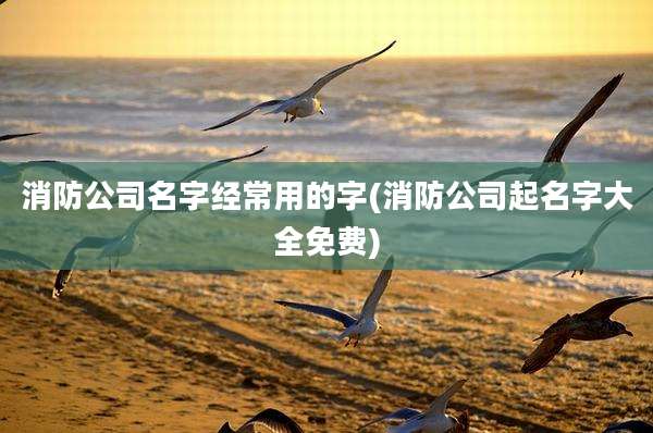 消防公司名字经常用的字(消防公司起名字大全免费)