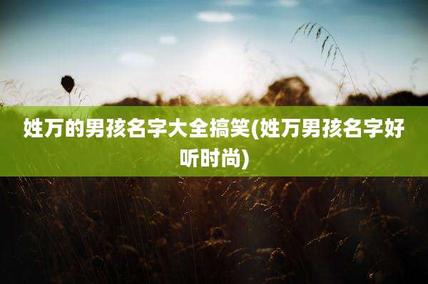 姓万的男孩名字大全搞笑(姓万男孩名字好听时尚)