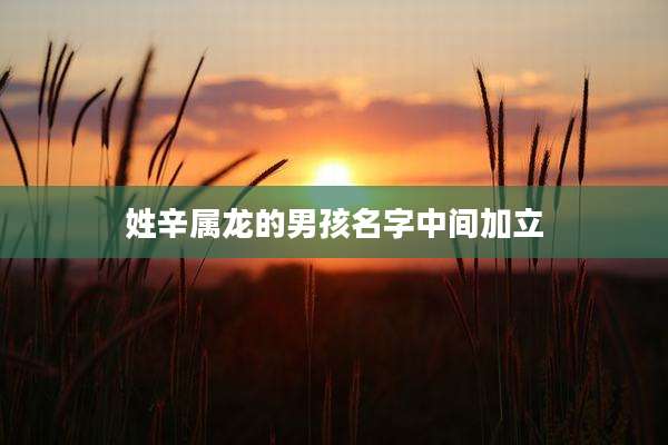姓辛属龙的男孩名字中间加立