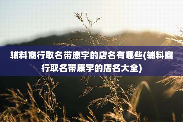 辅料商行取名带康字的店名有哪些(辅料商行取名带康字的店名大全)