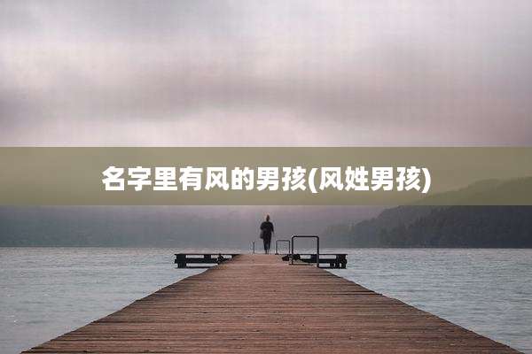 名字里有风的男孩(风姓男孩)