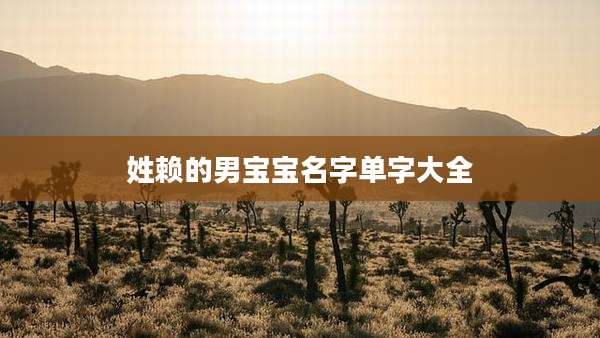 姓赖的男宝宝名字单字大全