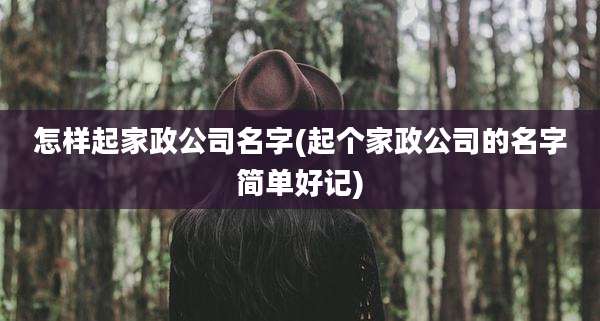 怎样起家政公司名字(起个家政公司的名字简单好记)