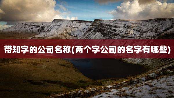 带知字的公司名称(两个字公司的名字有哪些)