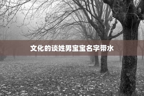 文化的谈姓男宝宝名字带水