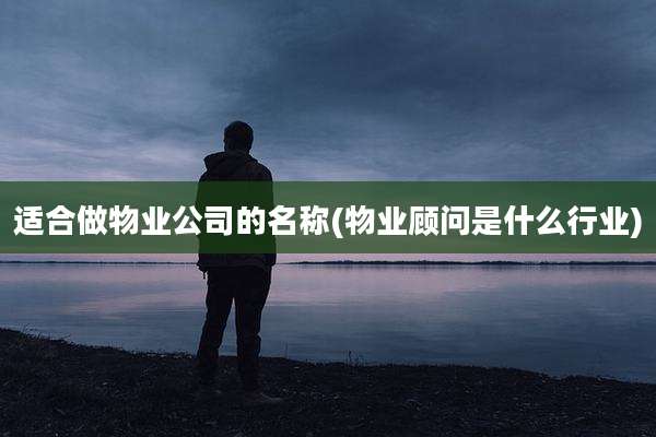 适合做物业公司的名称(物业顾问是什么行业)