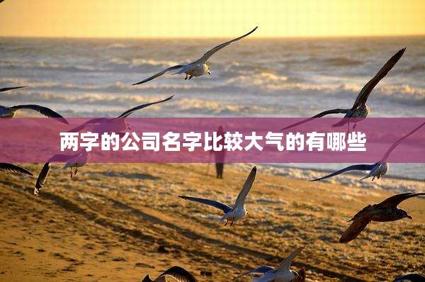 两字的公司名字比较大气的有哪些