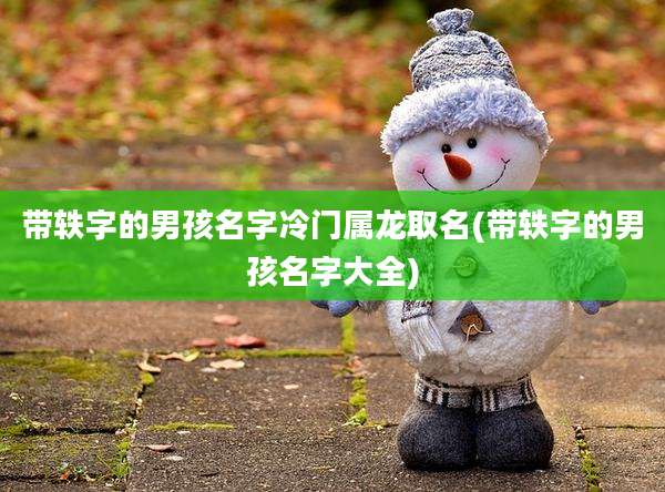 带轶字的男孩名字冷门属龙取名(带轶字的男孩名字大全)
