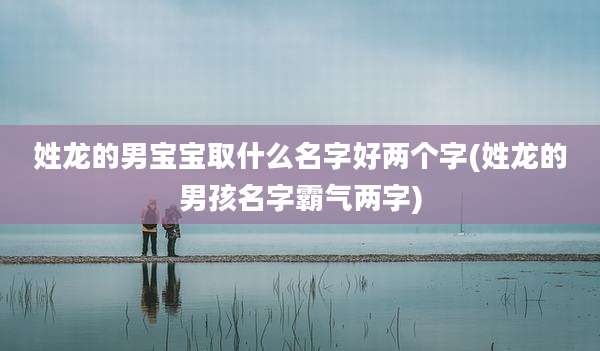 姓龙的男宝宝取什么名字好两个字(姓龙的男孩名字霸气两字)