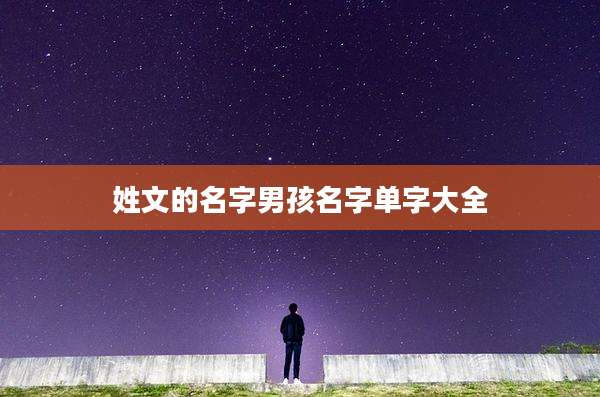 姓文的名字男孩名字单字大全
