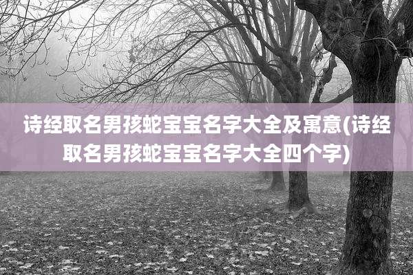 诗经取名男孩蛇宝宝名字大全及寓意(诗经取名男孩蛇宝宝名字大全四个字)
