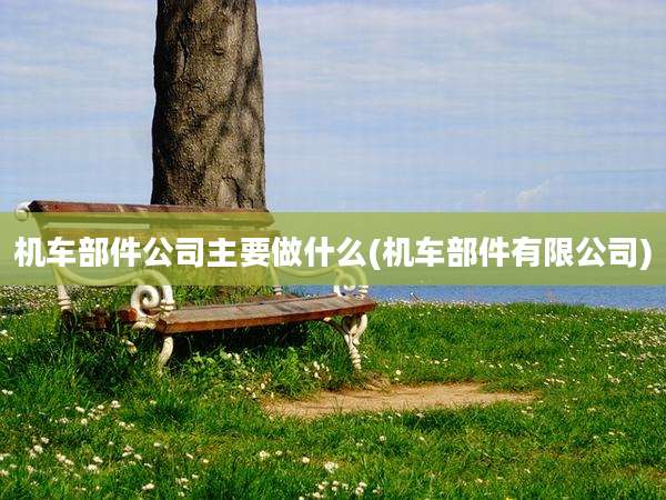 机车部件公司主要做什么(机车部件有限公司)